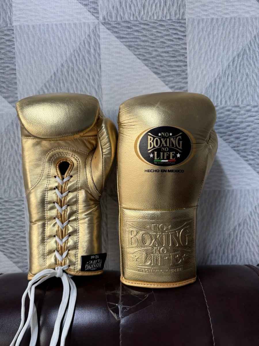 No Boxing No Life Metallic Gold Boxing Gloves | Mexican Handmade Lace-Up Pro Training Gloves My Store