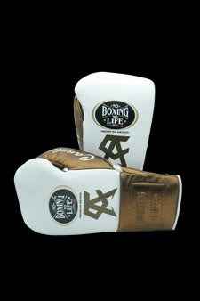 No Boxing No Life Boxing Gloves - Professional Lace-Up White & Bronze Edition - PunchPro Boxing