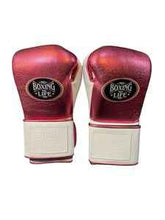 No Boxing No Life Boxing Gloves - Metallic Rose Gold & White Edition - PunchPro Boxing
