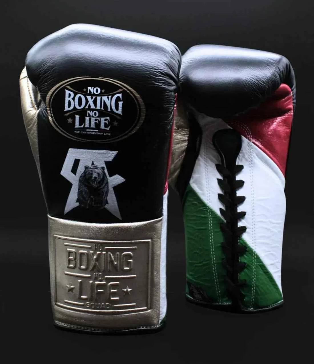 No Boxing No Life Professional Lace-Up Gloves - "Grizzly" Custom Mexican Flag Edition - PunchPro Boxing