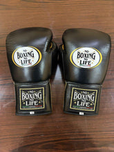 No Boxing No Life Boxing Gloves - Professional Lace-Up Black & Metallic Gold Edition - PunchPro Boxing