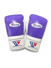 Winning boxing gloves - alternate angle