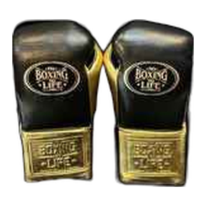 No Boxing No Life Gloves