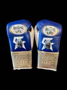 No Boxing No Life Boxing Gloves - Royal Blue & Metallic Gold Edition - PunchPro Boxing