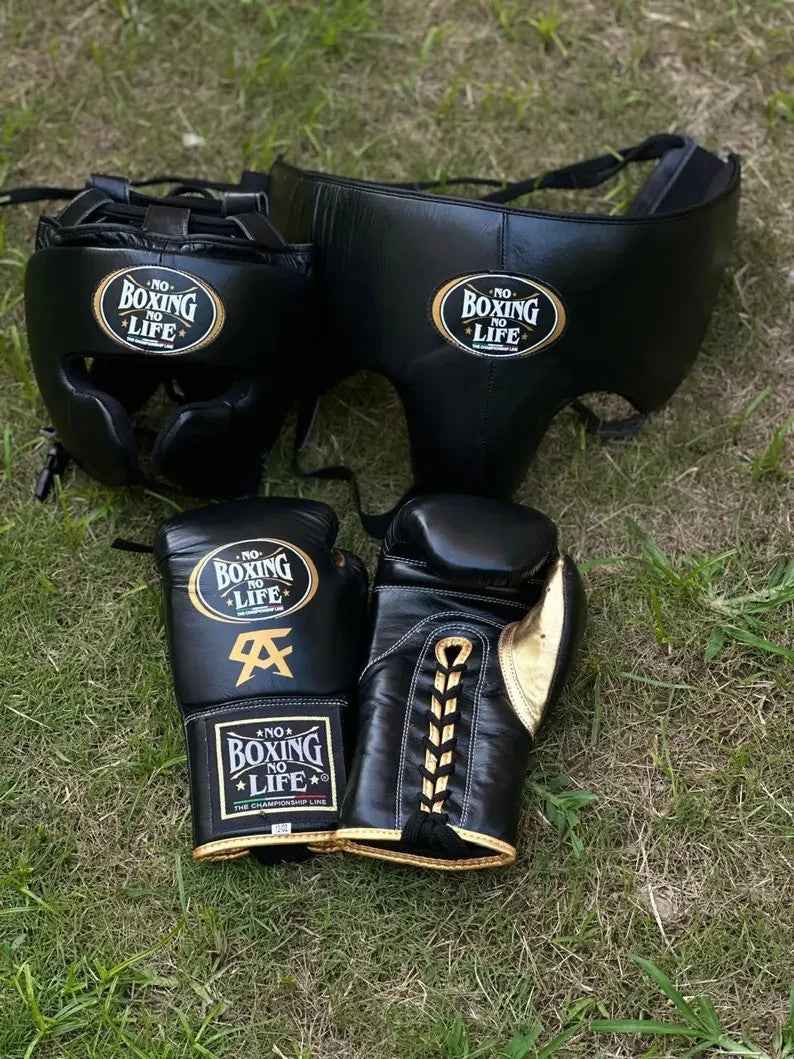 No Boxing No Life Professional Gloves, Headguard, and Groinguard Set - Black & Gold Custom Edition - PunchPro Boxing