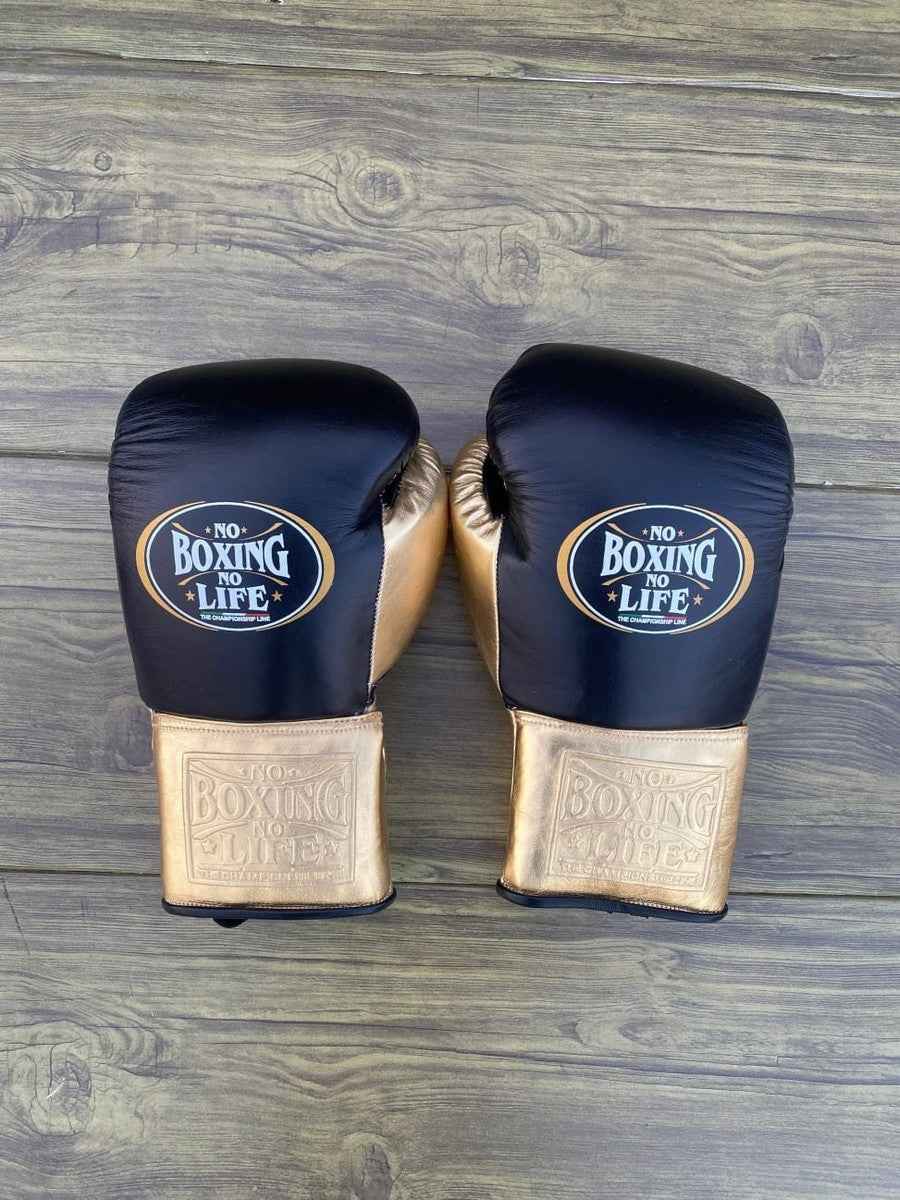 専用　カネロ　NO BOXING NO LIFE グローブ　10oz NO BOXING NO LIFE BOXING GLOVE Canelo Edition サウル アルバレス