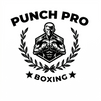 PunchPro Boxing