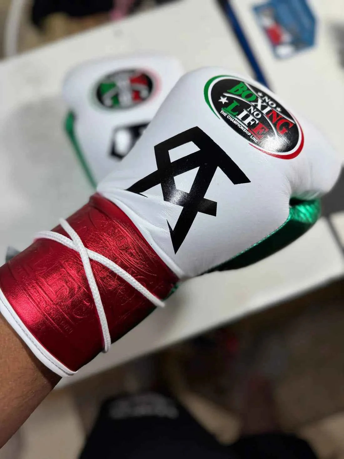 No Boxing No Life Custom Gloves - CA Mexican Flag Edition (White/Green/Metallic Red) - PunchPro Boxing
