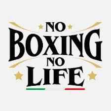 No Boxing No Life Red & Gold Complete Boxing Set (8oz–20oz) – Gloves, Headgear & Groin Guard for Professional Training & Sparring - PunchPro Boxing