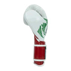 Cleto Reyes tricolour gloves showing panelled leather construction