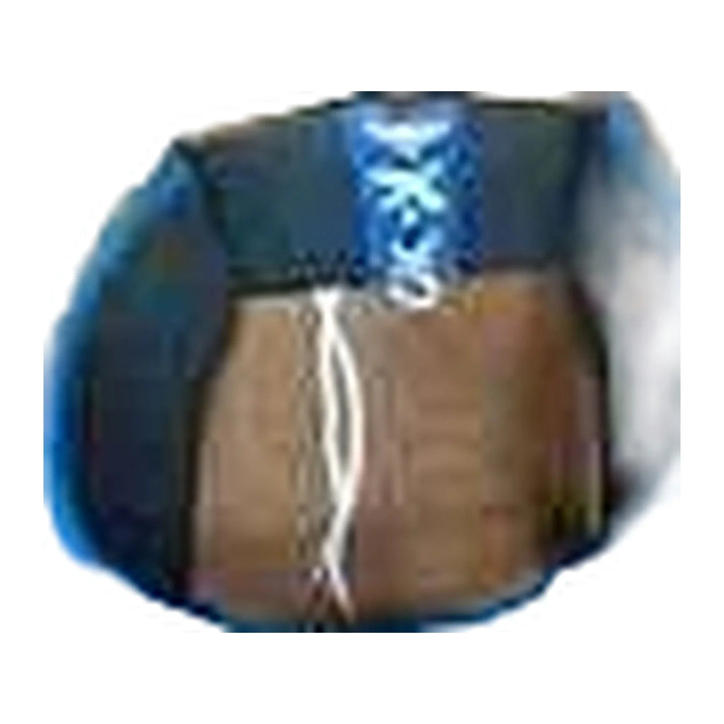 CPS-500 Boxing Groin Guard – Royal Blue