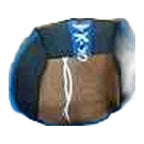 CPS-500 Boxing Groin Guard – Royal Blue