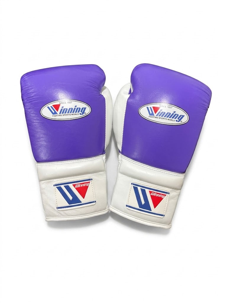 Winning boxing gloves - alternate angle