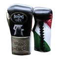 No Boxing No Life Grizzly tricolor boxing gloves - NBNL horsehair Mexican lace-up