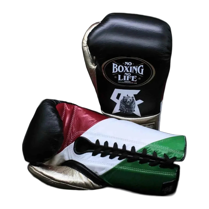 No Boxing No Life Grizzly tricolor boxing gloves - NBNL horsehair Mexican lace-up