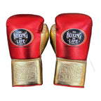NBNL red & gold headgear front view with cheek protection