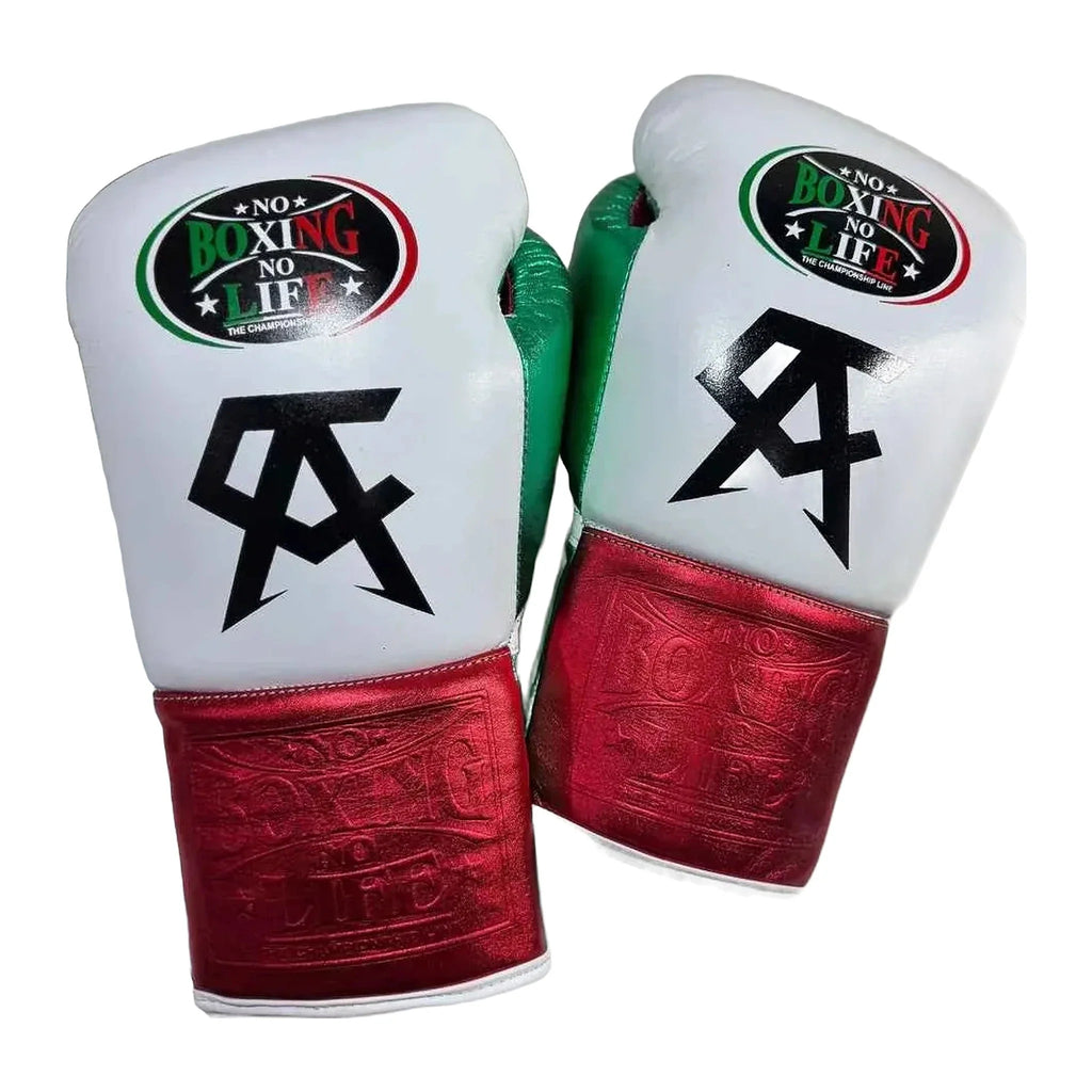 No Boxing No Life tricolor boxing gloves in white, green and metallic red - NBNL Mexican lace-up gloves
