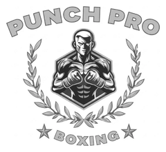 PunchPro Boxing