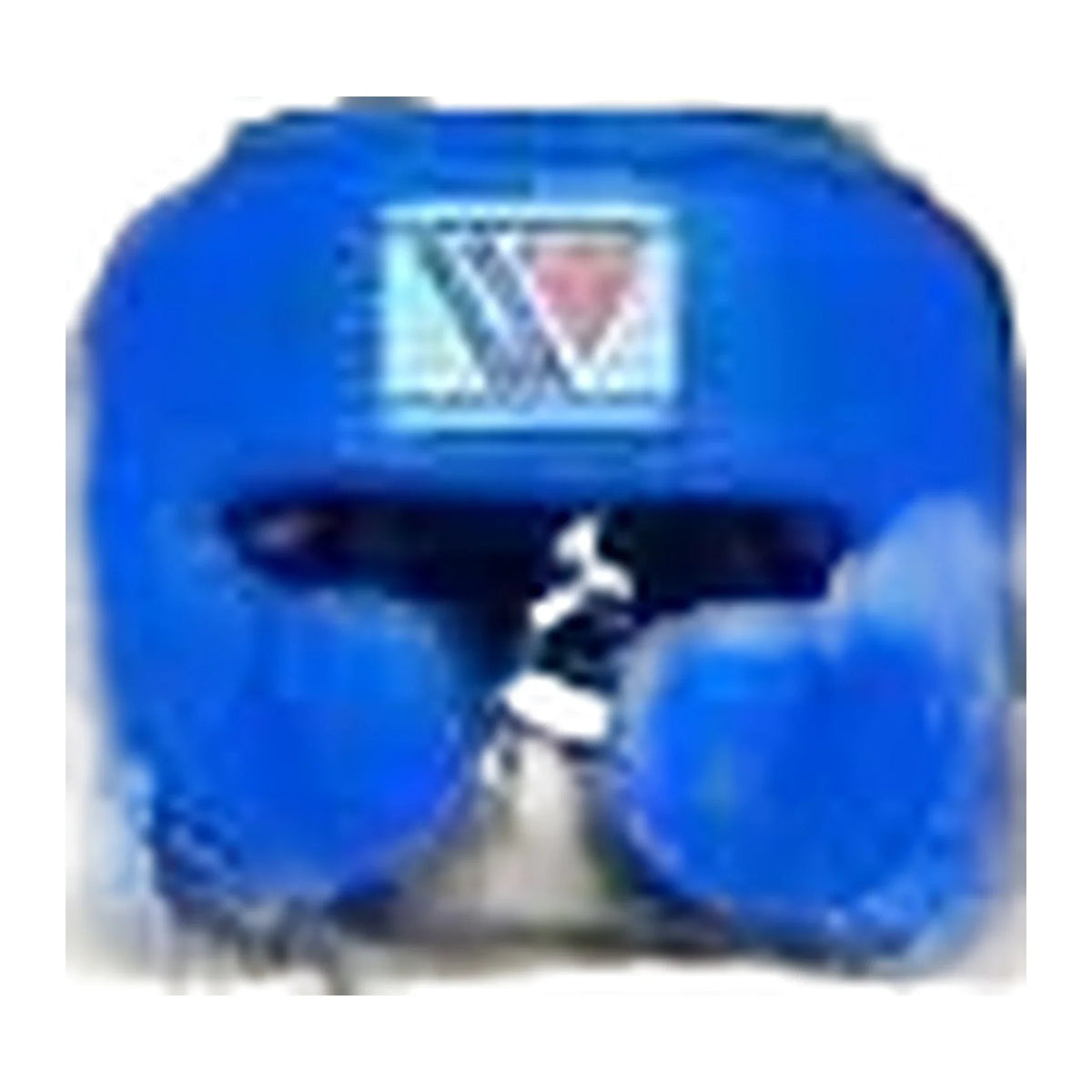 Winning FG-2900 Full Face Boxing Headgear – Blue